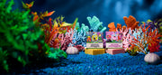 SpongeBob 4-Pack V6