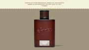 Midnight Birch Cologne B17