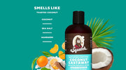 Coconut Castaway Conditioner K4