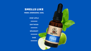 Beard Oil 3-Pack T8