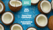 Coconut Castaway Hand Soap X1