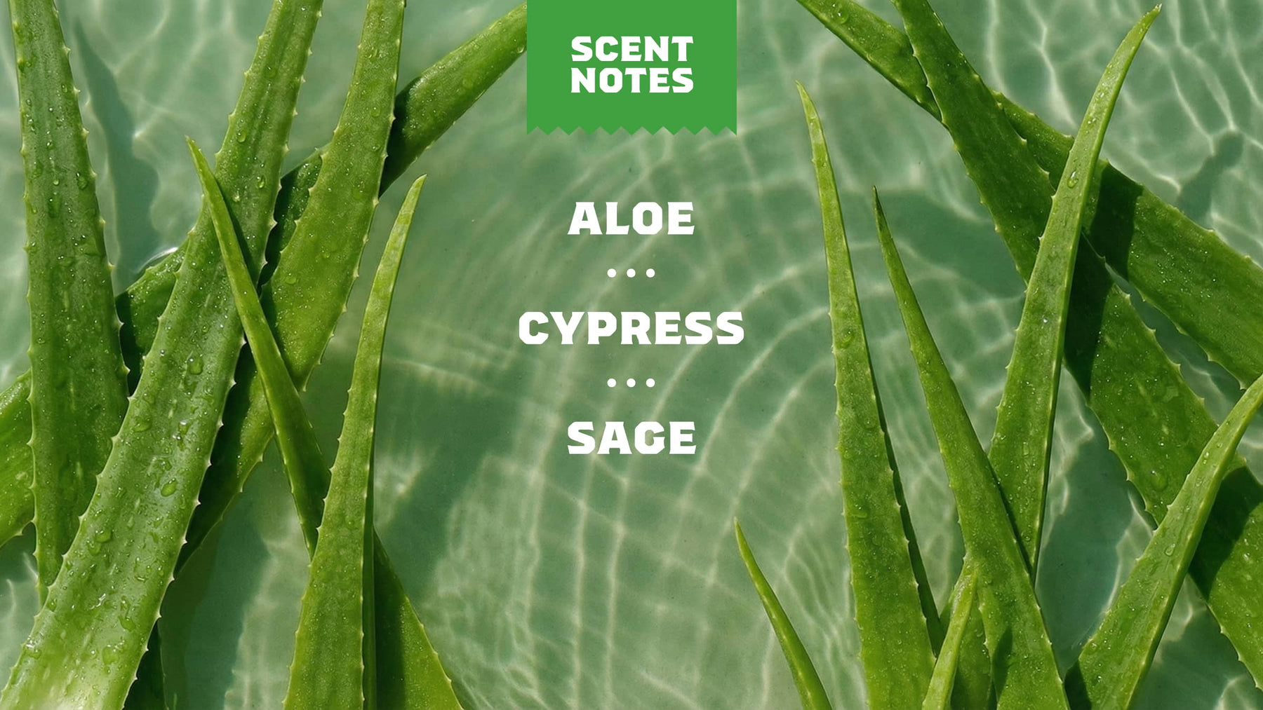 Cool Fresh Aloe Conditioner L7