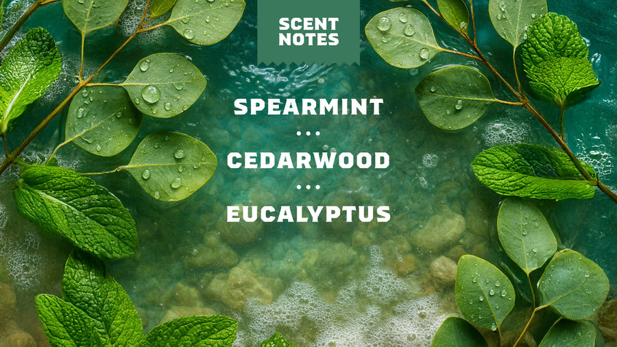 Rainforest Rapids Refreshing Face Wash E12