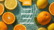 Summer Citrus Hand Soap F3