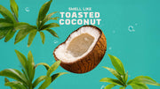 Coconut Castaway Hand Soap X1