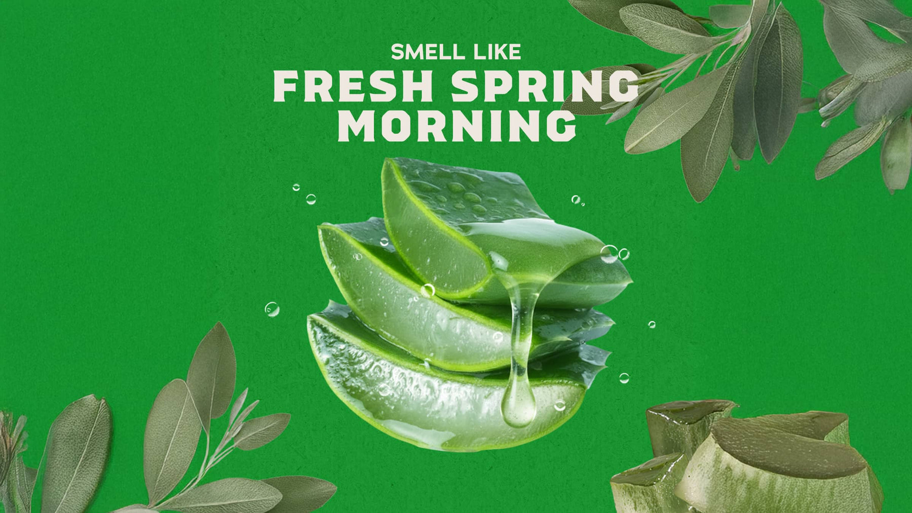 Cool Fresh Aloe Conditioner L7