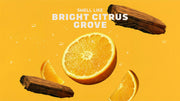 Summer Citrus Hand Soap F3