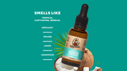 Beard Oil 3-Pack T8
