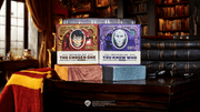 Destiny Duel 2-Pack I6